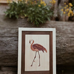 Colori legno naturale Flamingo