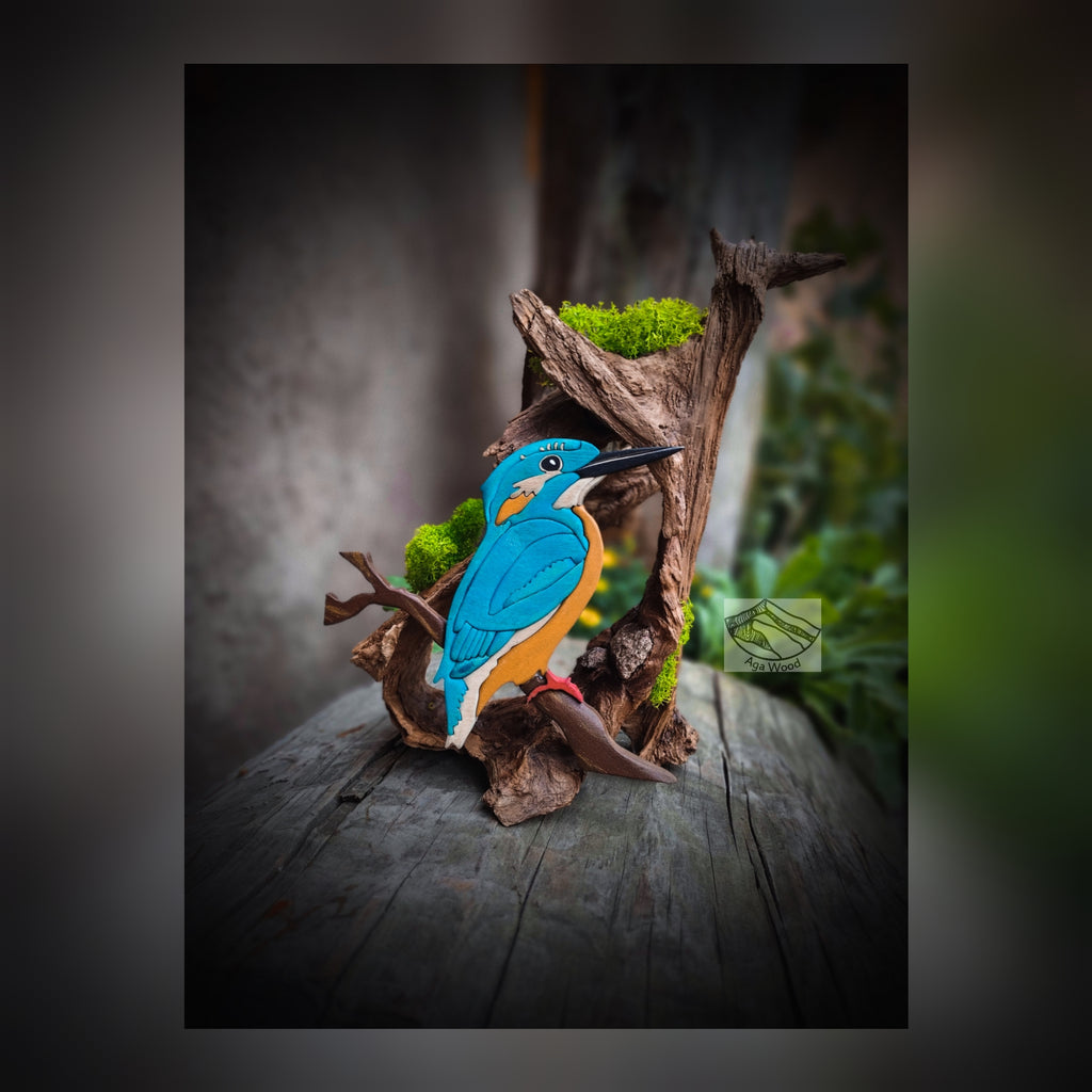 Kingfisher-On-Old-Wood.jpg